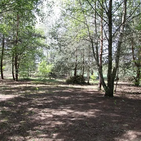 Hytte Dom Imprezowy Z Noclegami *