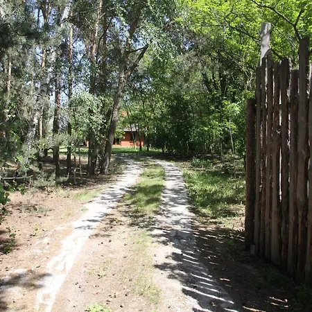 Hytte Dom Imprezowy Z Noclegami *