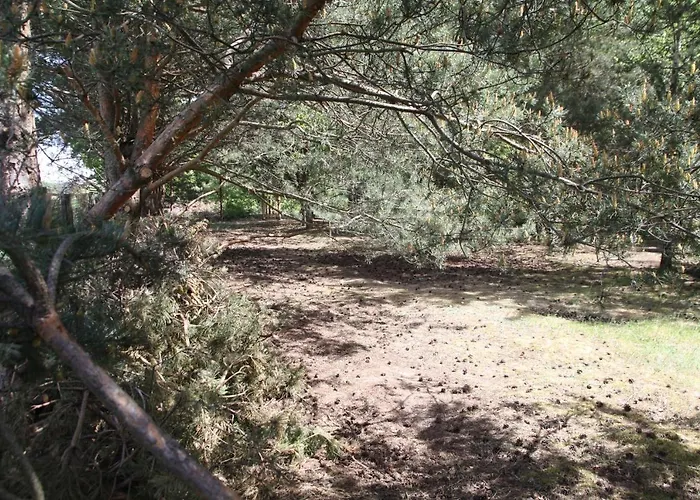 Dom Imprezowy Z Noclegami *