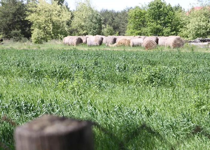 Dom Imprezowy Z Noclegami * Dziecinow