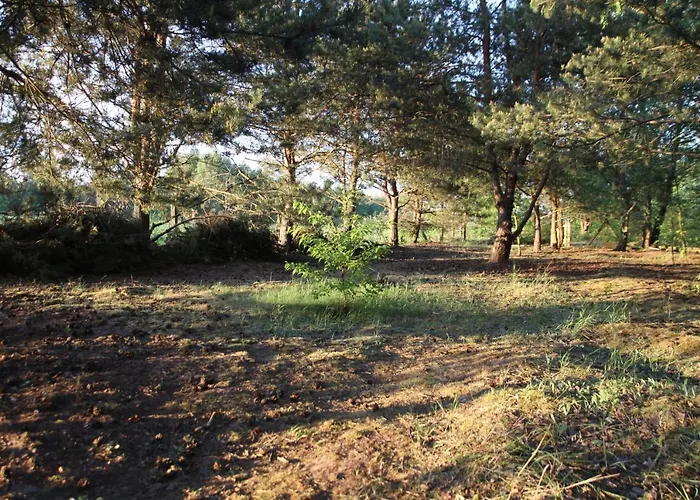 Dom Imprezowy Z Noclegami Lodge *