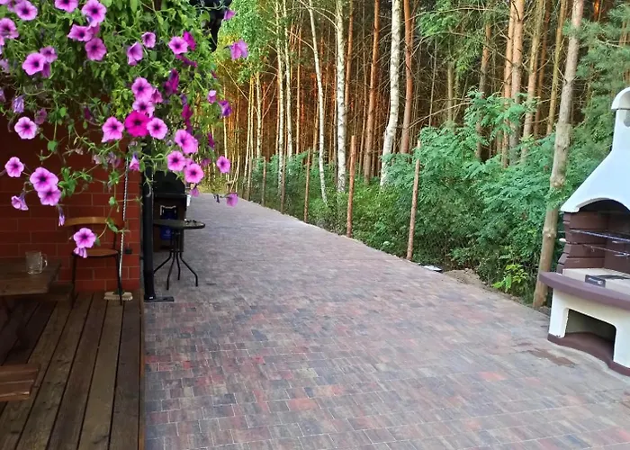 Dom Imprezowy Z Noclegami * Dziecinow