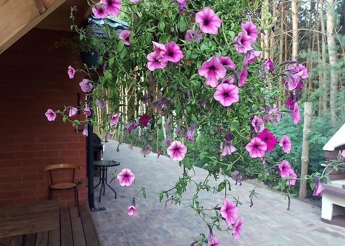 Lodge Dom Imprezowy Z Noclegami